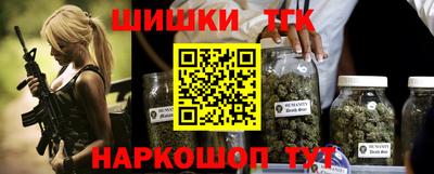 тгк Котовск