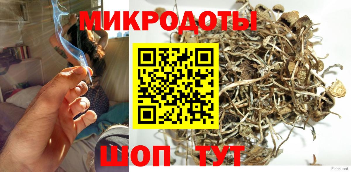 Галлюциногенные грибы прущие грибы Петрозаводск
