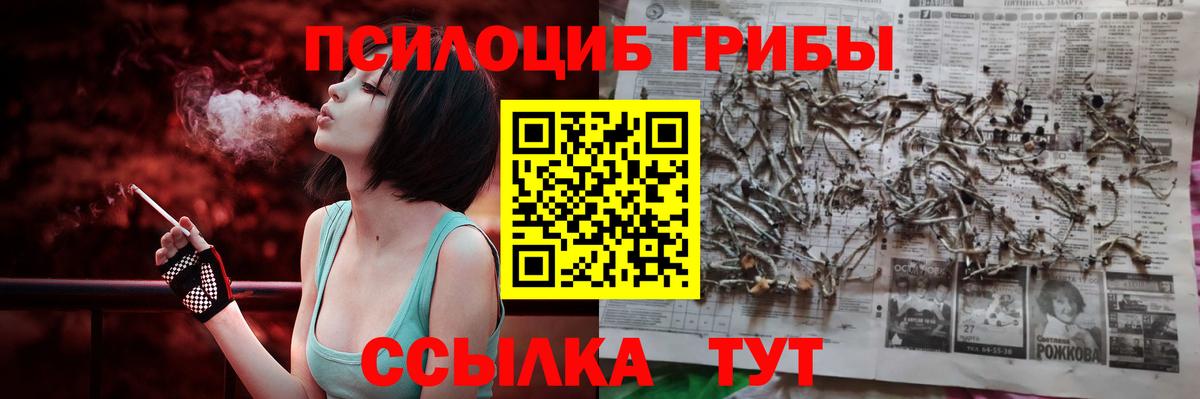 Галлюциногенные грибы мицелий  Вход с VPN  Галлюциногенные грибы прущие грибы  Петрозаводск 